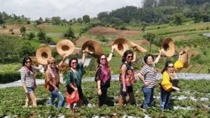 tour medan danau toba