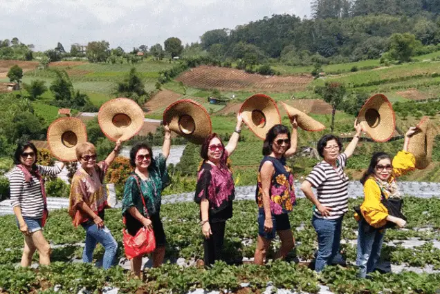 tour medan danau toba